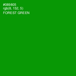 #089805 - Forest Green Color Image